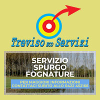 Treviso Eco Servizi